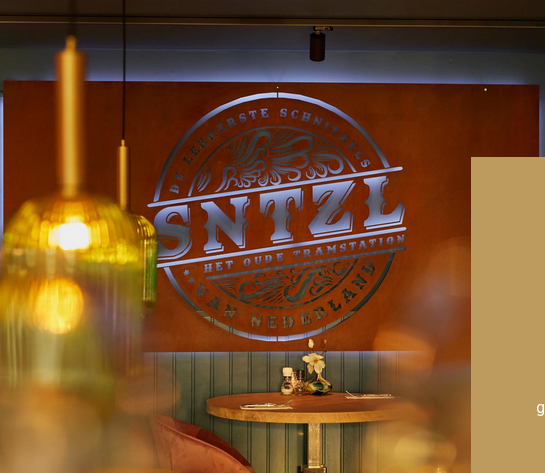 Screenshot SNTZL website